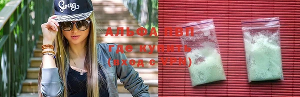 хмурый Липки