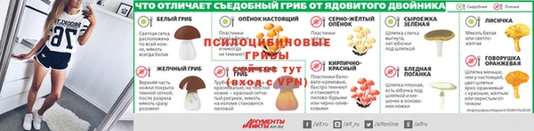 хмурый Липки