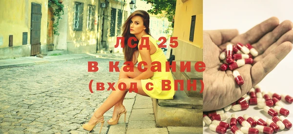 хмурый Липки