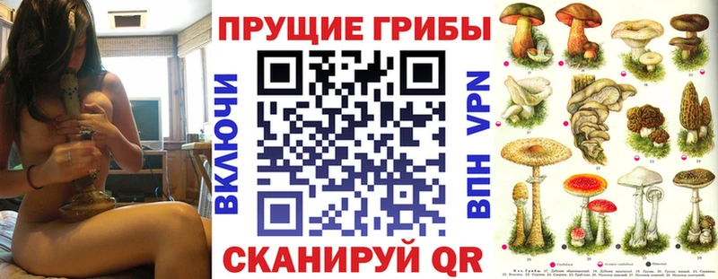 Псилоцибиновые грибы Cubensis Краснодар