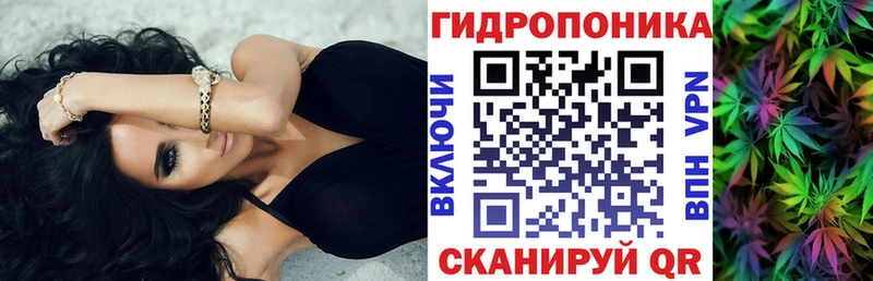 Шишки марихуана MAZAR  mega ссылка  Краснодар 